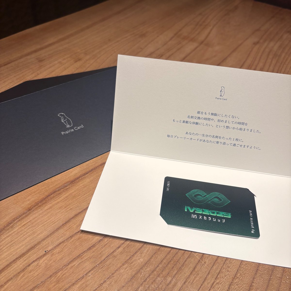 IVSスカラシップ限定デザインのプレーリーカードをいただきました✨
かっこ良い！明日からのIVSが楽しみです！