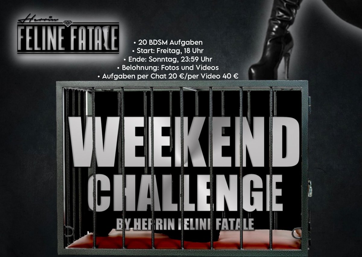 Herrin_Feline's tweet photo. Antreten Sklavenfotze!

Beweise, dass du meiner würdig bist!!!

Meistere alle 5 #BDSM Challenges = Aufnahme in meinem #Sklavenstall ("Hall of Pain") auf Lebensdauer, Urkunde, 1x getragener Tanga, 1x Getragene Nylons, 1 Paar getragene Schuhe, 1L Natursekt & persönliche Videobotschaft von #Herrin Feline Fatale

Mir folgen, Beitrag liken, reposten und kommentieren = 1 Gratisaufgabe erhalten