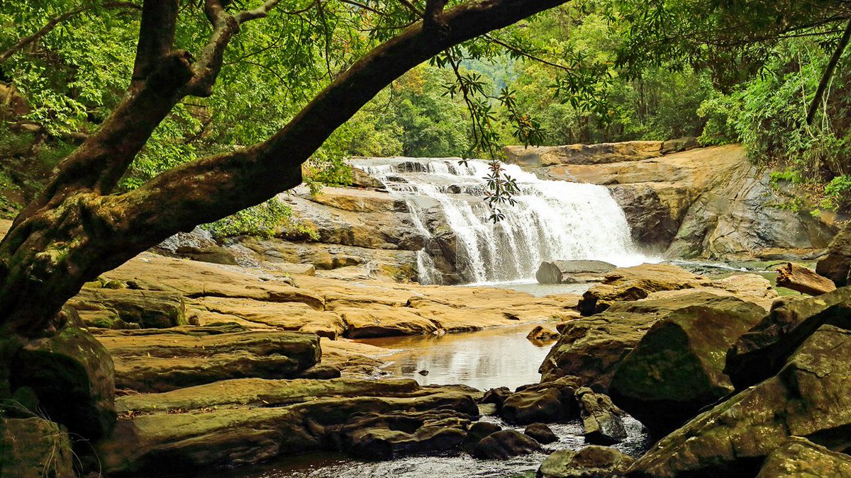 QuickBzar's tweet photo. Dive into nature at Thommankuth Waterfalls 
Stay serene with QBStay.
𝐖𝐞𝐛 𝐋𝐢𝐧𝐤: https://t.co/B5U6VqSZER
𝐅𝐨𝐫 𝐁𝐨𝐨𝐤𝐢𝐧𝐠: https://t.co/VgzKhv3hDy
@KeralaTourism https://t.co/jTWP4TkxXA
