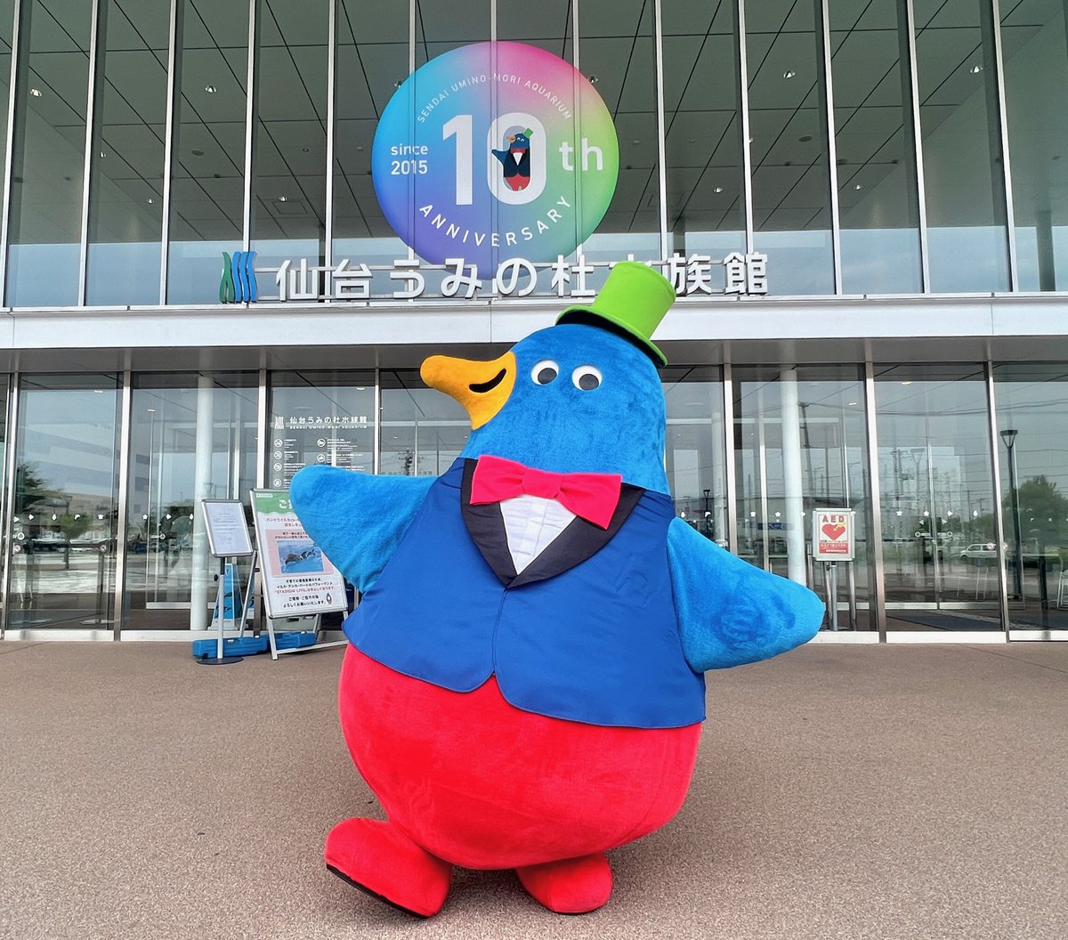 sendaiuminomori's tweet photo. 【仙台うみの杜水族館】

＼開館10周年を迎えました！／

みなさまのご愛顧とたくさんの出会いに心より感謝申しあげます。

あっという間の10年でした。もっともっと「生きものたちの魅力」をスタッフ一丸となってお伝えしてまいります。

これからも最高な出会いを！

#s_uminomori　#10th_uminomori https://t.co/UqhpsmjuR5