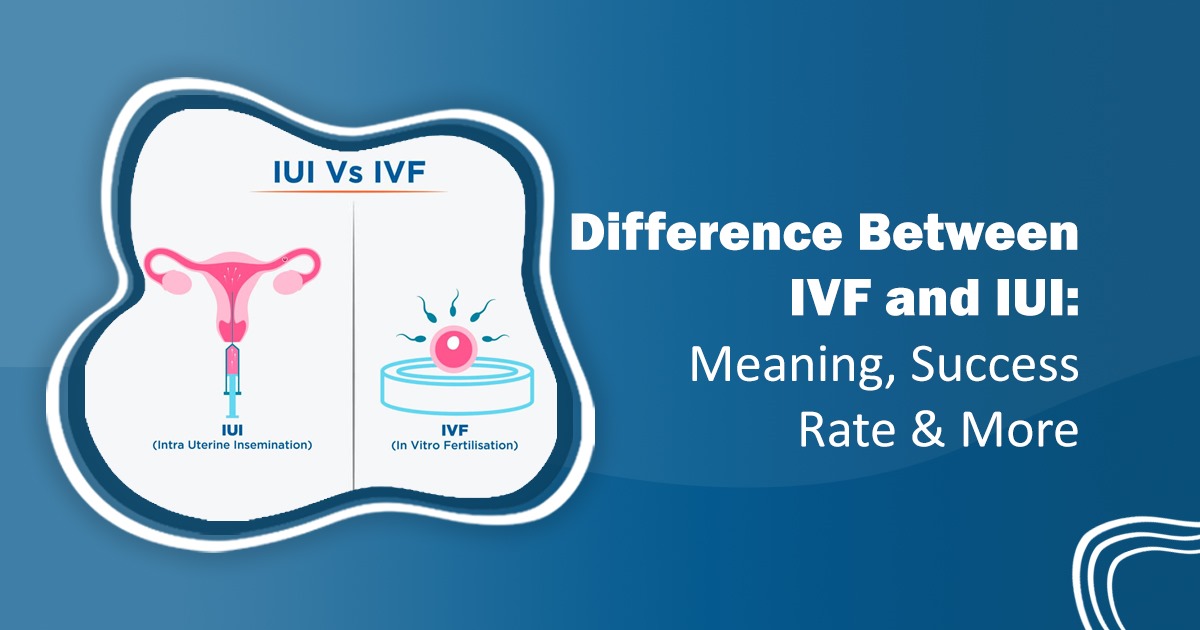 Dr. Rita Bakshi (IVF specialist) (@dr_ritabakshi) on Twitter photo IVF vs IUI: What’s the Difference?
Not sure which #fertility_option is right for you? This guide breaks down the key differences in cost, process, #success_rates, and ideal candidates to help you make an informed decision.
🔗 drritabakshi.in/difference-bet…
#IVFvsIUI #FertilityCare IVF vs IUI: What’s the Difference?
Not sure which #fertility_option is right for you? This guide breaks down the key differences in cost, process, #success_rates, and ideal candidates to help you make an informed decision.
🔗 drritabakshi.in/difference-bet…
#IVFvsIUI #FertilityCare