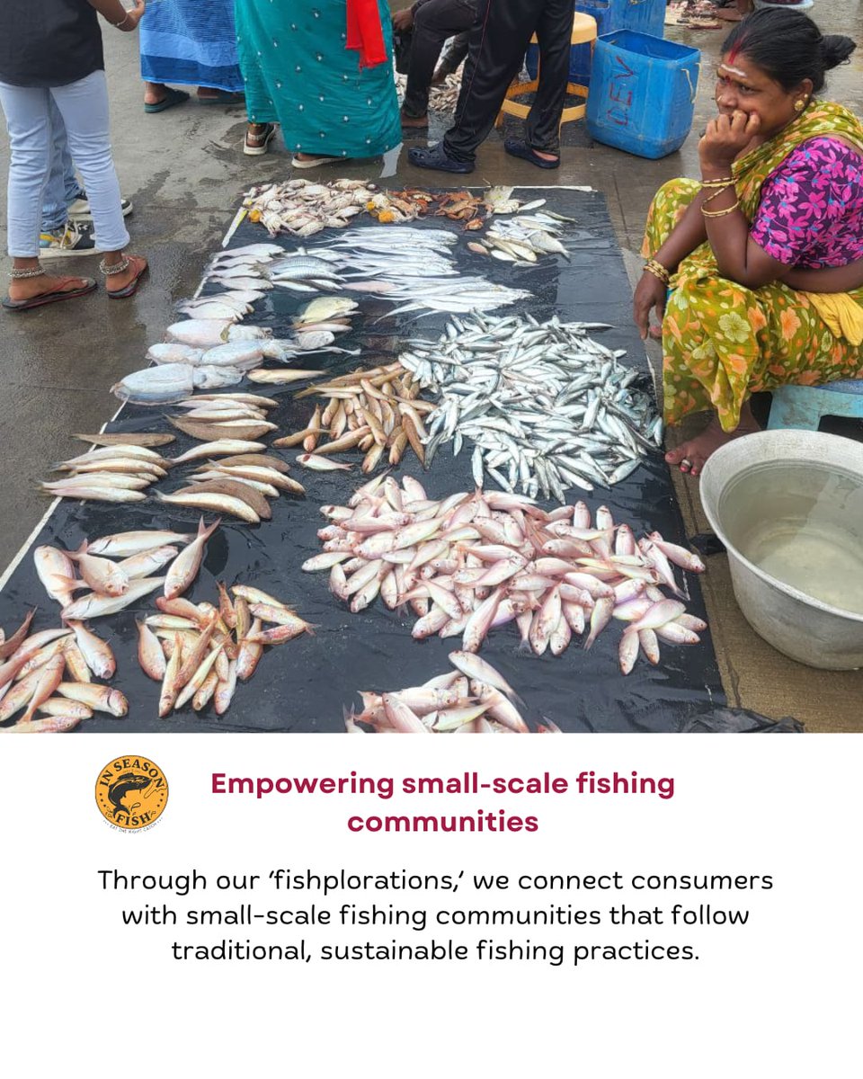 InSeason Fish tweet media