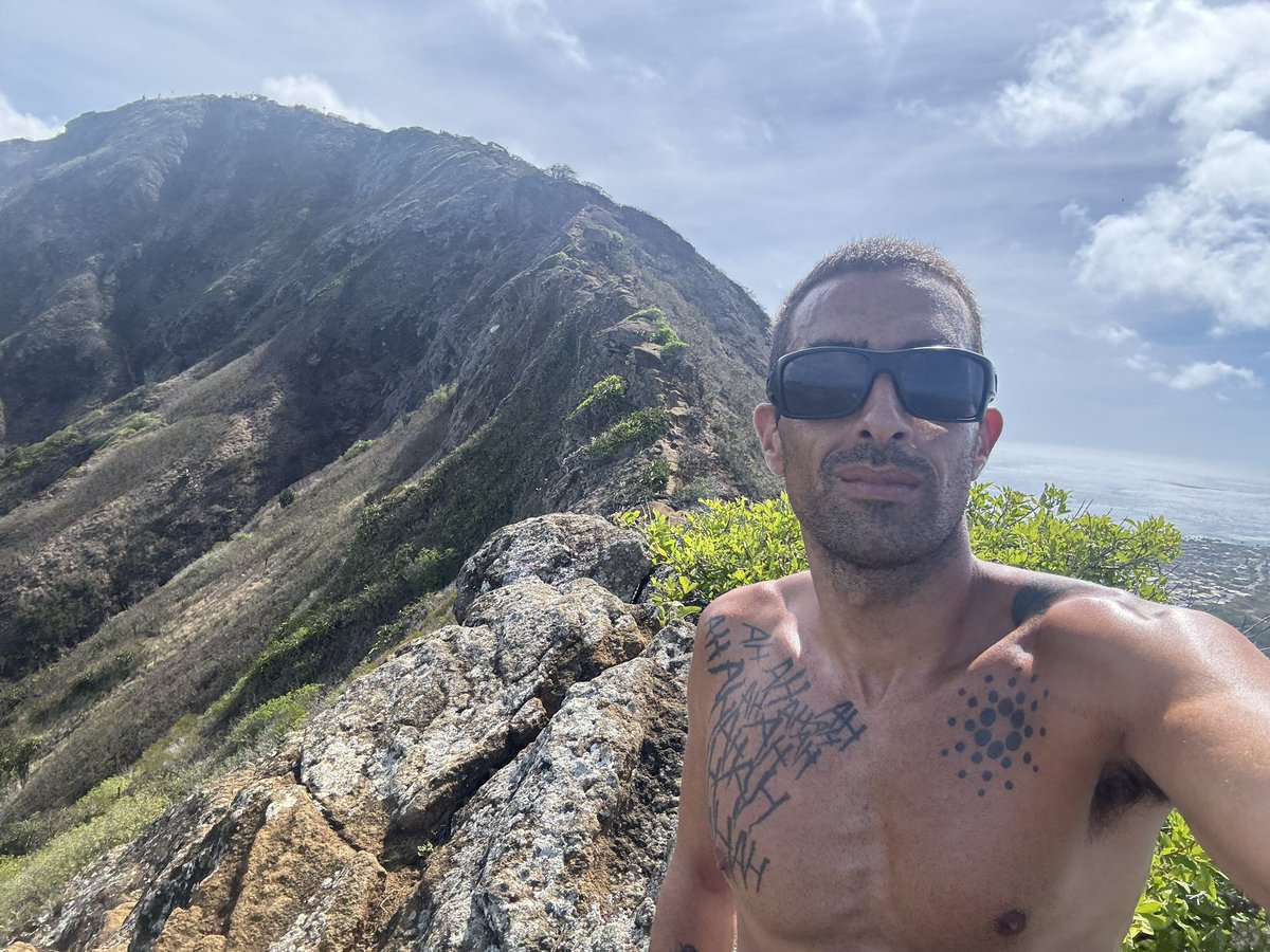 Waikiki Guy tweet media