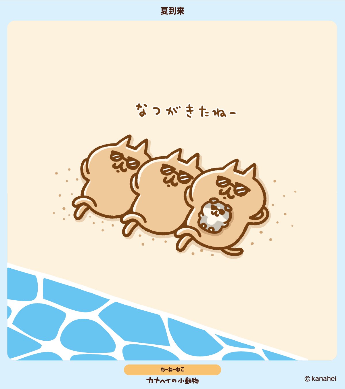 ねーねーねこ - Search / X