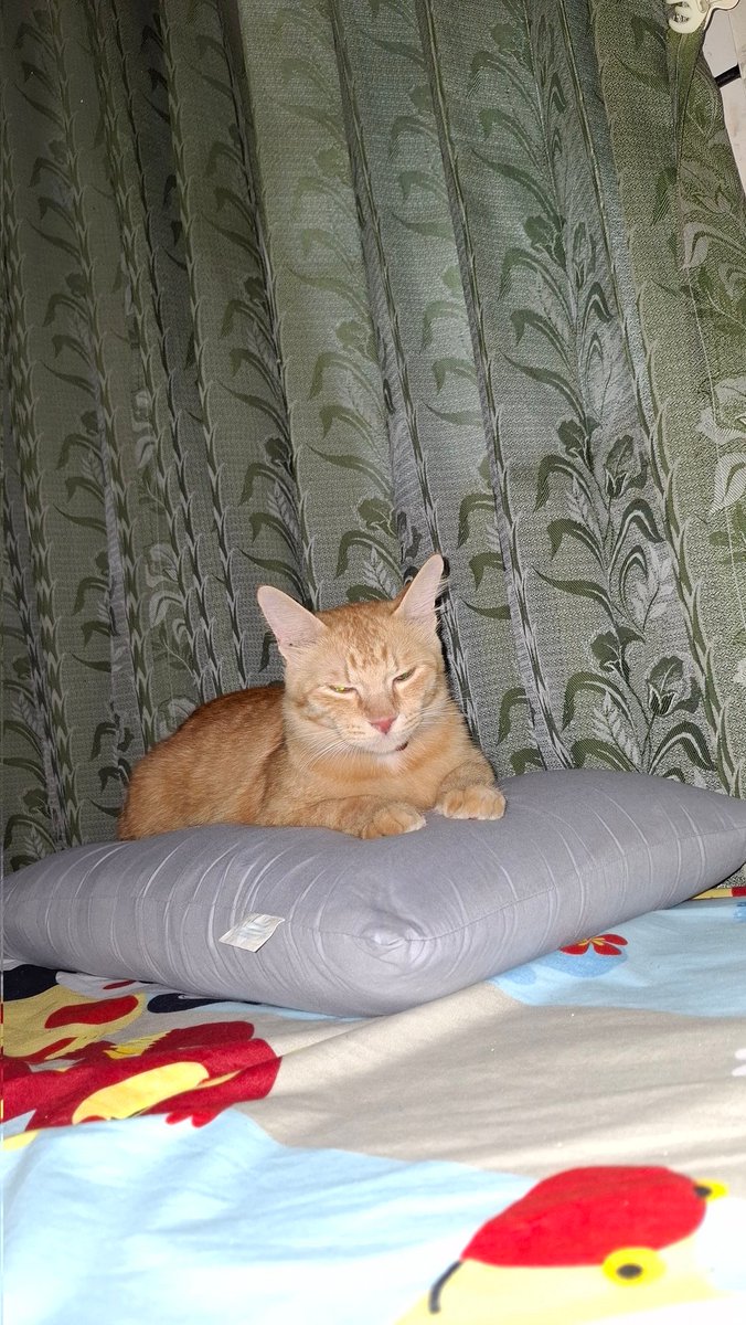 Paduka raja dan bantal kesayangannya