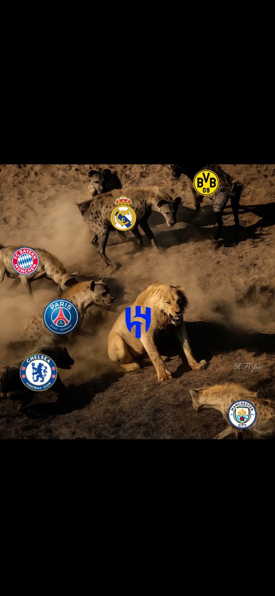 ALTTAMIMI6's tweet photo. #AlHilal 🦁💙 https://t.co/0uDw8nyZBz