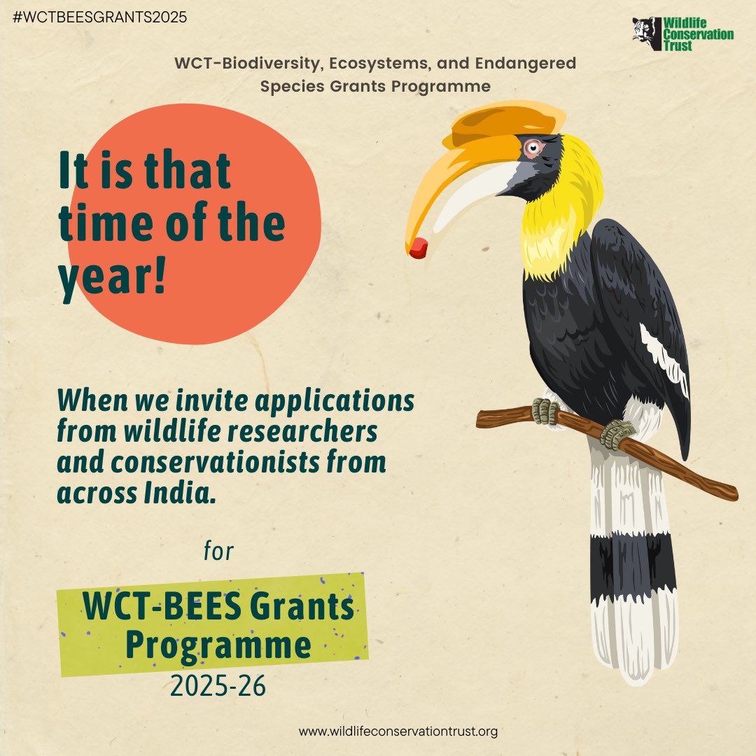 It is time to apply for the WCT-BEES Grants! We are now inviting applications to WCT-Biodiversity, Ecosystems, and Endangered Species Grants Programme (WCT-BEES Grants) for 2025-26.

wildlifeconservationtrust.org/our-work/wct-b…

Application deadline: August 10, 2025.