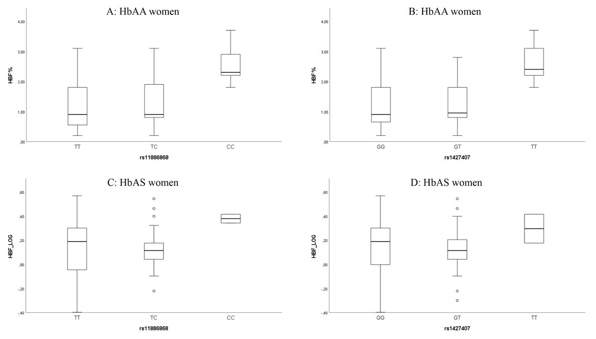 BehMarathon's tweet photo. 🔬 New study on fetal hemoglobin (HbF) modulation in São Tomé e Príncipe
Key SNPs in BCL11A, HBG2 &amp; BGLT3 linked to HbF levels in HbAA women
🔍 Read this genetic association study by @licinio_manco  et al.
🔗https://t.co/MKMJJmS0NR

#Genetics #HbF #SickleCell #BCL11A #FBSjournal https://t.co/fOY5V6rsUt