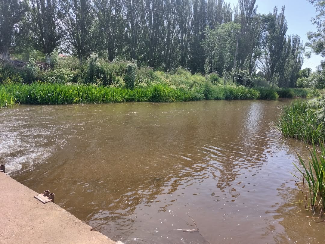 Refranes

• En julio es mi trigo y en agosto el de mi amigo.
• Por San Fermín, el calor no tiene fin.
• En julio, agua viene y toalla va, y el verano ya pasará.
• Un ratico al sol y otro a la sombra, para pasar julio de la forma más cómoda
#Villabrázaro #Zamora #CyL #España