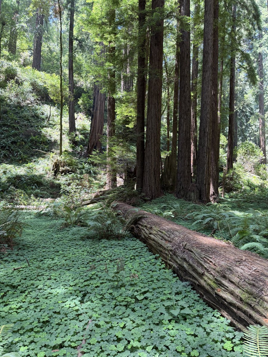 ˗ˏˋ ☆ ˎˊ˗ r (@cinnamonlysweet) on Twitter photo 