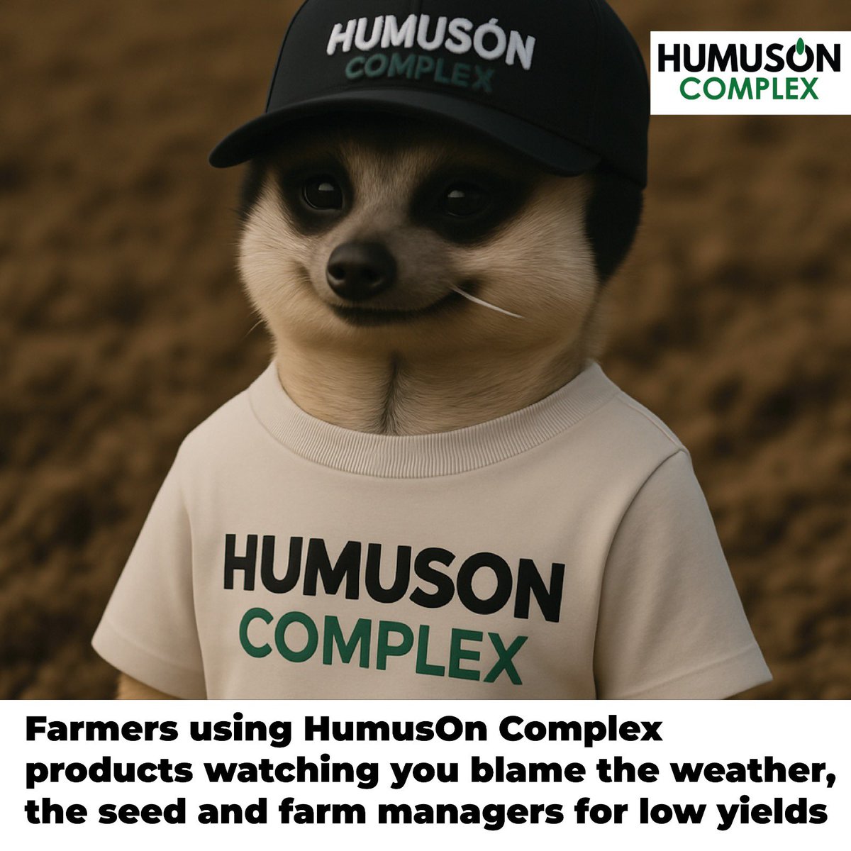 HumusOn#1 tweet media