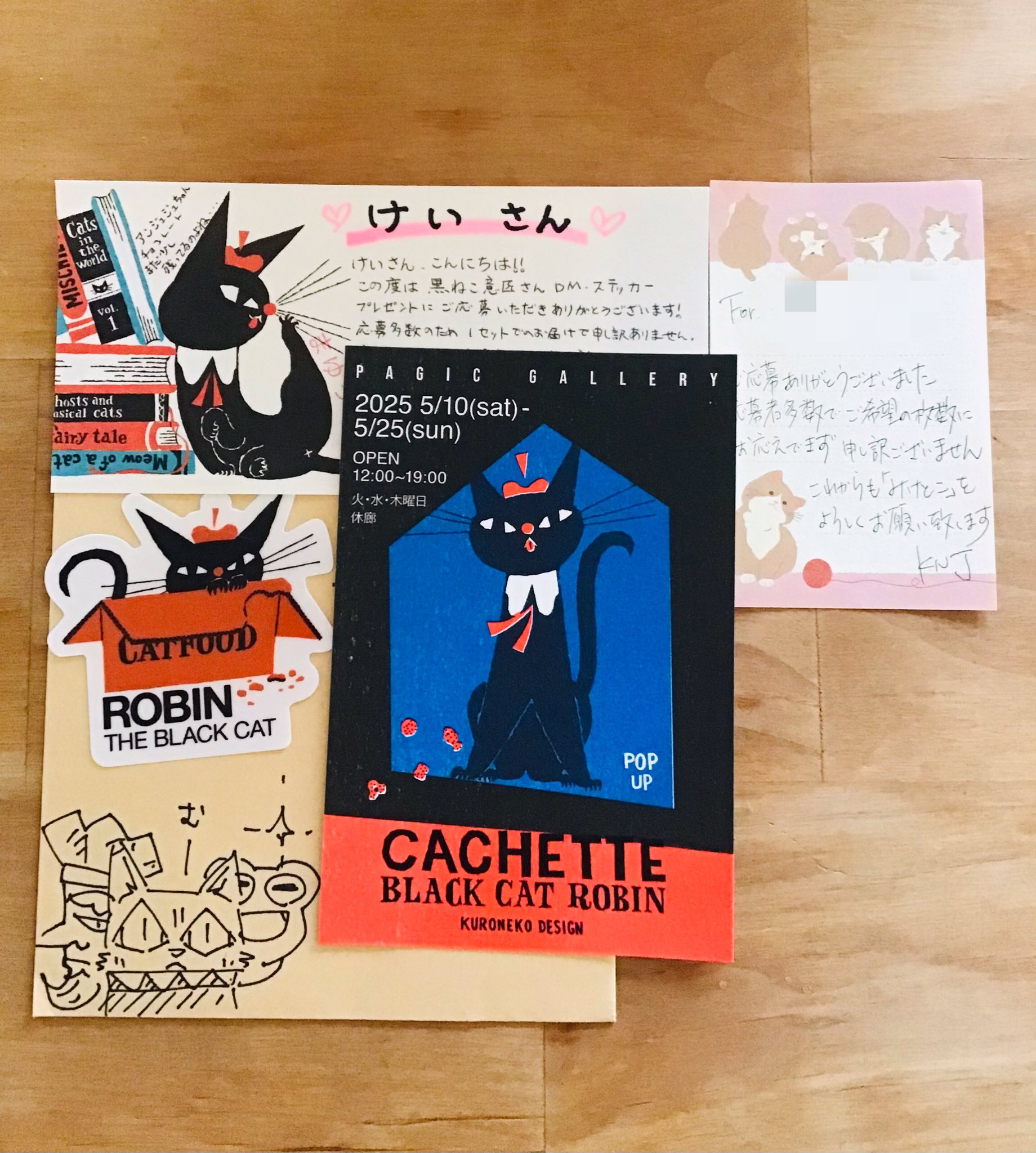 ねこちゃんトコトコ pechanko_bocco (@pechanko_bocco) • Instagram photos and videos