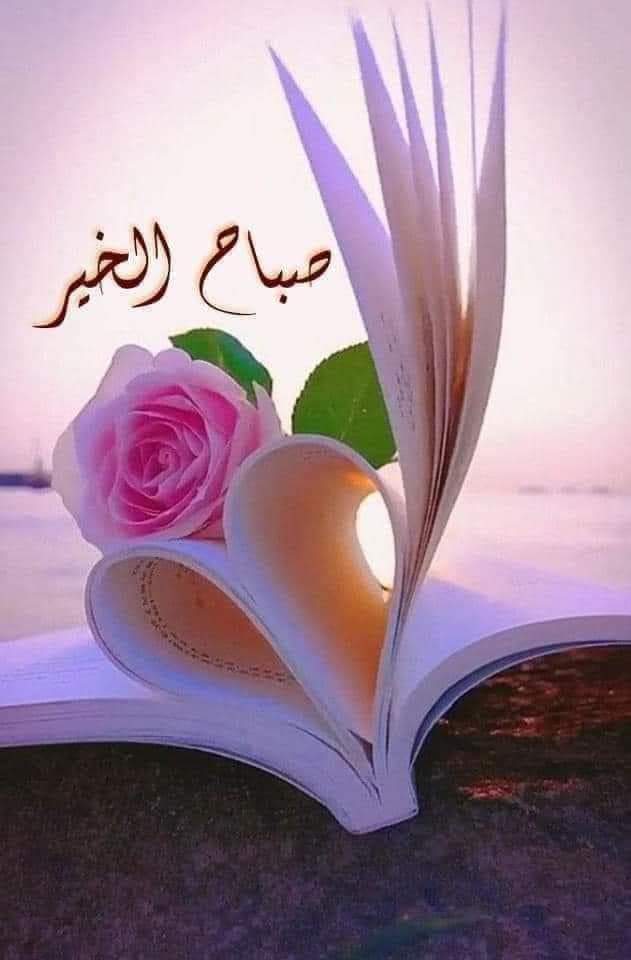 .
قال سفيان الثوري رحمه الله :
" إن اتقيتَ الله كفاك الناس..
وإن اتقيتَ الناس لن يُغنوا عنك من الله شيئا ".

صٍـُـــبـُـاُُاُُاُُاُُځُ اُُاُُاُُڷَـُﺦٌــــيُـُر ❤️ 🥰
.