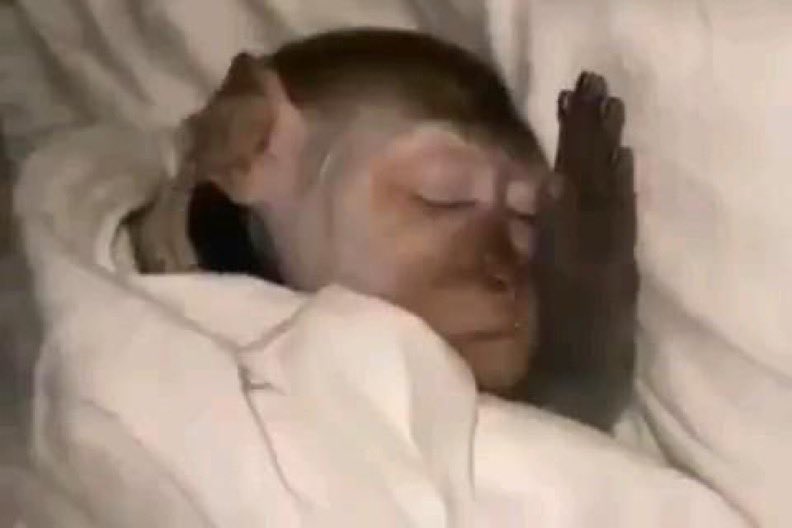 Kasita nasasude rent wa July ne August 😌😂🙌