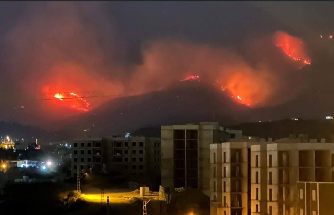 Ağaçlar yanarken ağlar ! 😢

Bunu da atlatacağız !

Geçmiş olsun Hatay !
Geçmiş olsun Türkiye'm!🇹🇷

#TürkiyeYanıyor
#HatayYanıyor