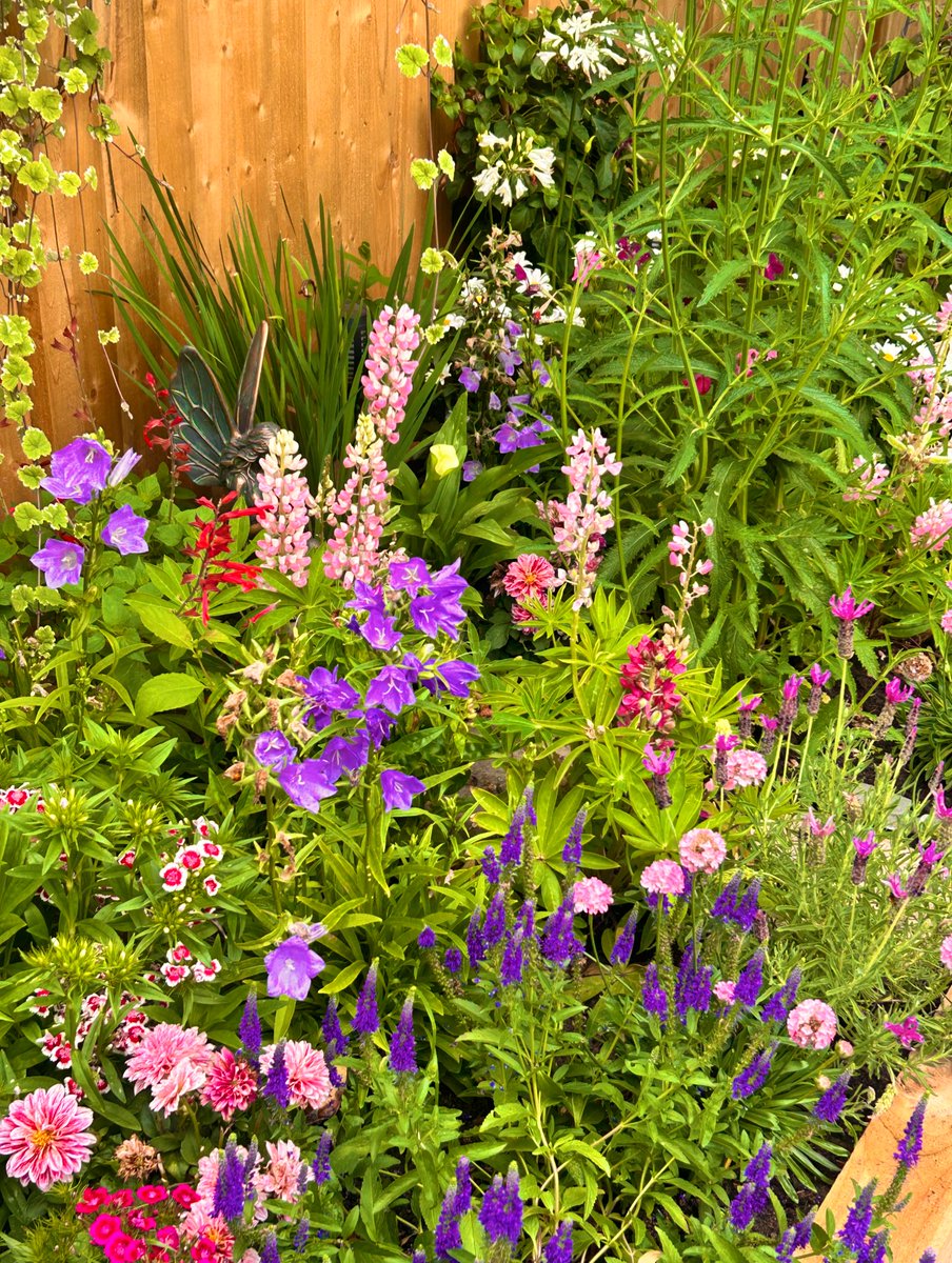 Gemma Allen (she/her) (@gemma_allen1) on Twitter photo Early morning coffee in the garden before work 💐 Early morning coffee in the garden before work 💐