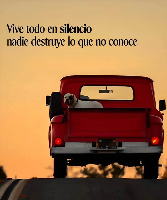 Escuela de Vida (@escueladevida21) on Twitter photo 