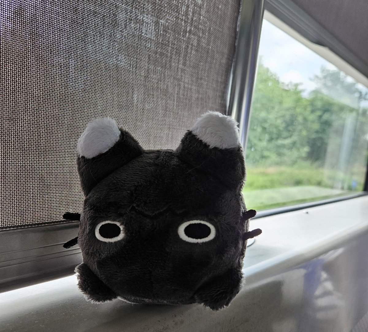 서울 가는 중  ᓚ₍ ^. .^₎

#나의_삑하민