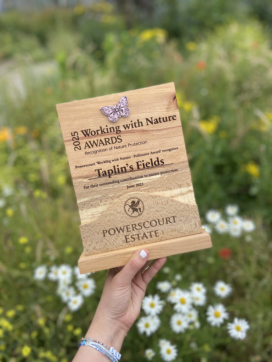 TaplinsFields's tweet image. 🏆 Thrilled to share that our Taplin’s Fields garden has won the Working with Nature Award 2025 in the “Pollinators” category! Big thanks to  Powerscourt and congrats to all the winners—greener days ahead for the Liberties 🌿🐝 #WorkingWithNature #Pollinators #TaplinsFields