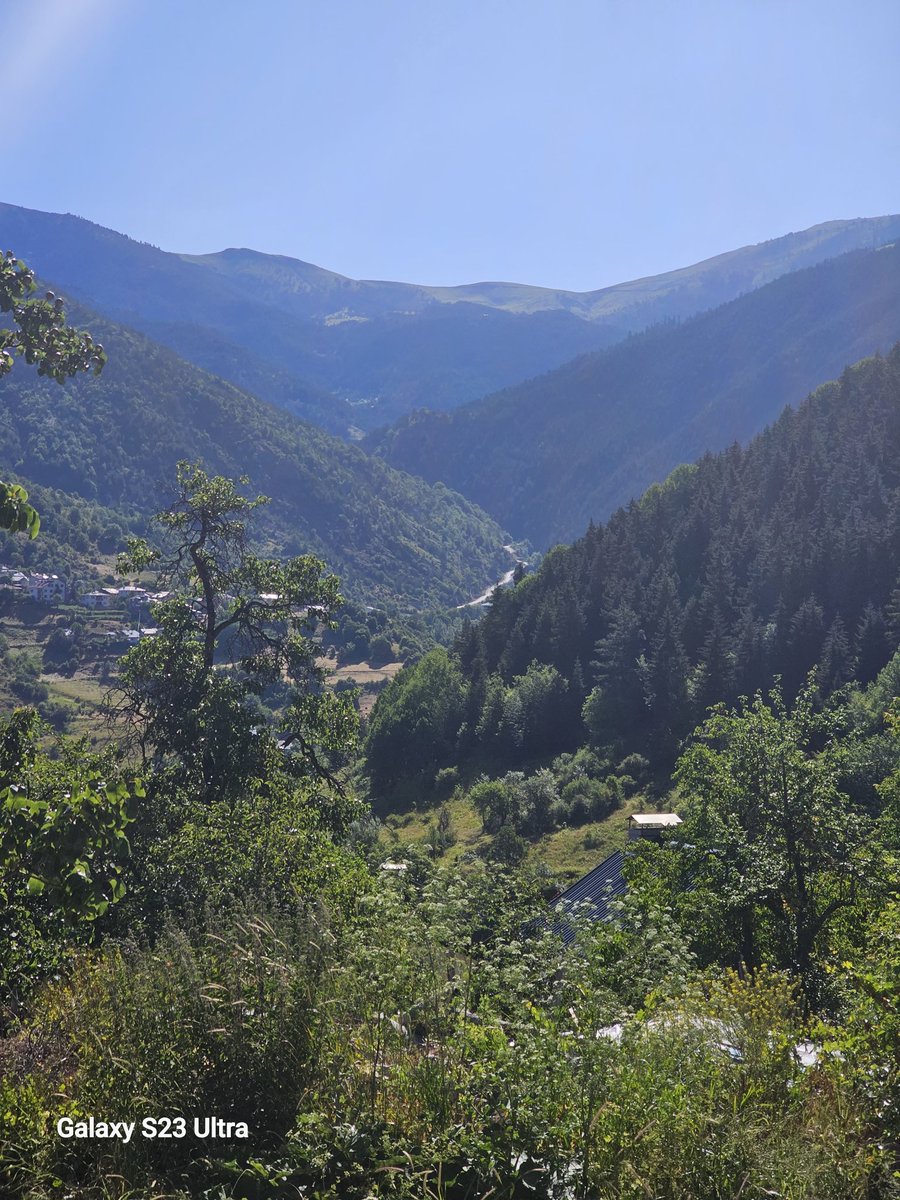 Günaydın güle hasret bülbüle,  Günaydın bülbülün aşkı güle,  Eyy dostlar,  Uyandığınızda öyle bir günaydın deyin ki,  Yazıklar olsun,  Ömründe bir kez günaydın demeden ölene ...