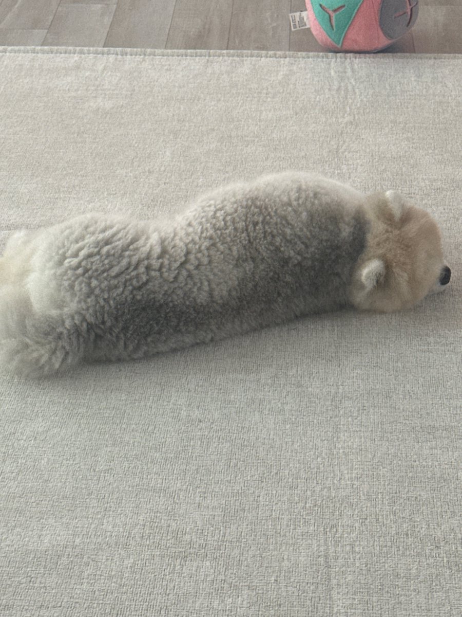 inysbbl's tweet image. [🐰📸] • 250701