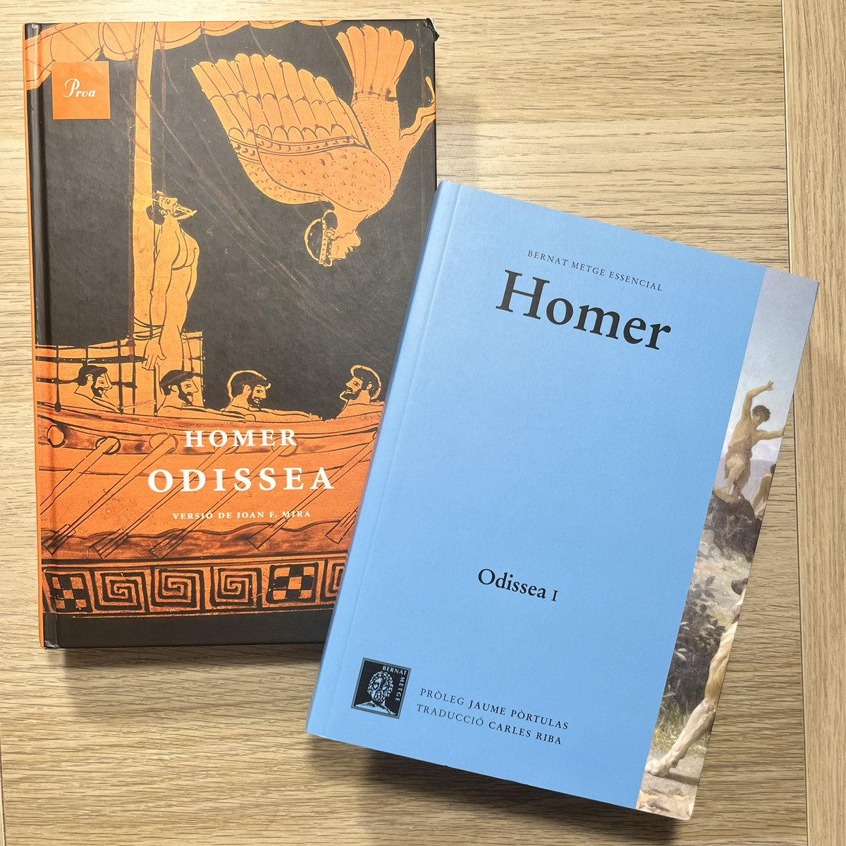 Una petita mostra de l’Odissea perquè avui comença el curs de formació “253111 Una lectura acompanyada de l’Odissea d’Homer”que imparteix <a href="/txellblay/">Meritxell Blay</a> dins la 52a Escola d’estiu del <a href="/cdlcat/">Col·legi de docents</a>. Quines ganes d’arribar a Ítaca!