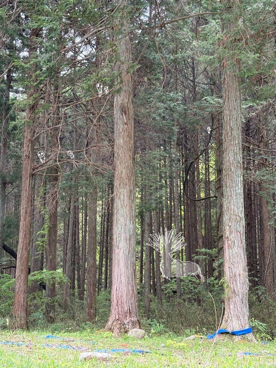 キャンプ行ったから
もののけ姫書いた