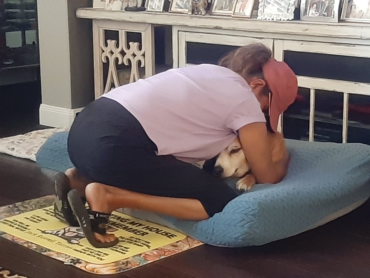 EltonSherrif's tweet image. Saturday daddy filling up da pool oready, next week da workers back to complete da job. Meanwhile, I unda love attack from mommy, kissies & hugging, no escape for I😁💞Daddy & I in our park, after 8pm - but still 90F. I good time anyway. Sending y'all love & respect 👍🖐🐾🚔🐕