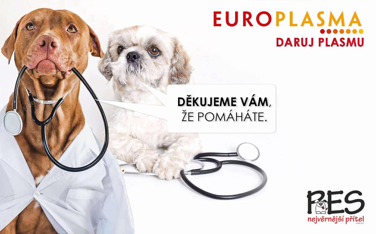 🩸 Děkujeme @EUROPLASMACZ a všem dárcům!

Na účet spolku Pes nejvěrnější přítel z.s. dorazilo 29 700 Kč. ❤️‍🩹
V těžké situaci je to pro naše pejsky a kočičky obrovská pomoc. 🐾

#darujplasmu #pomoczviratum #pesnejvernejsipritel