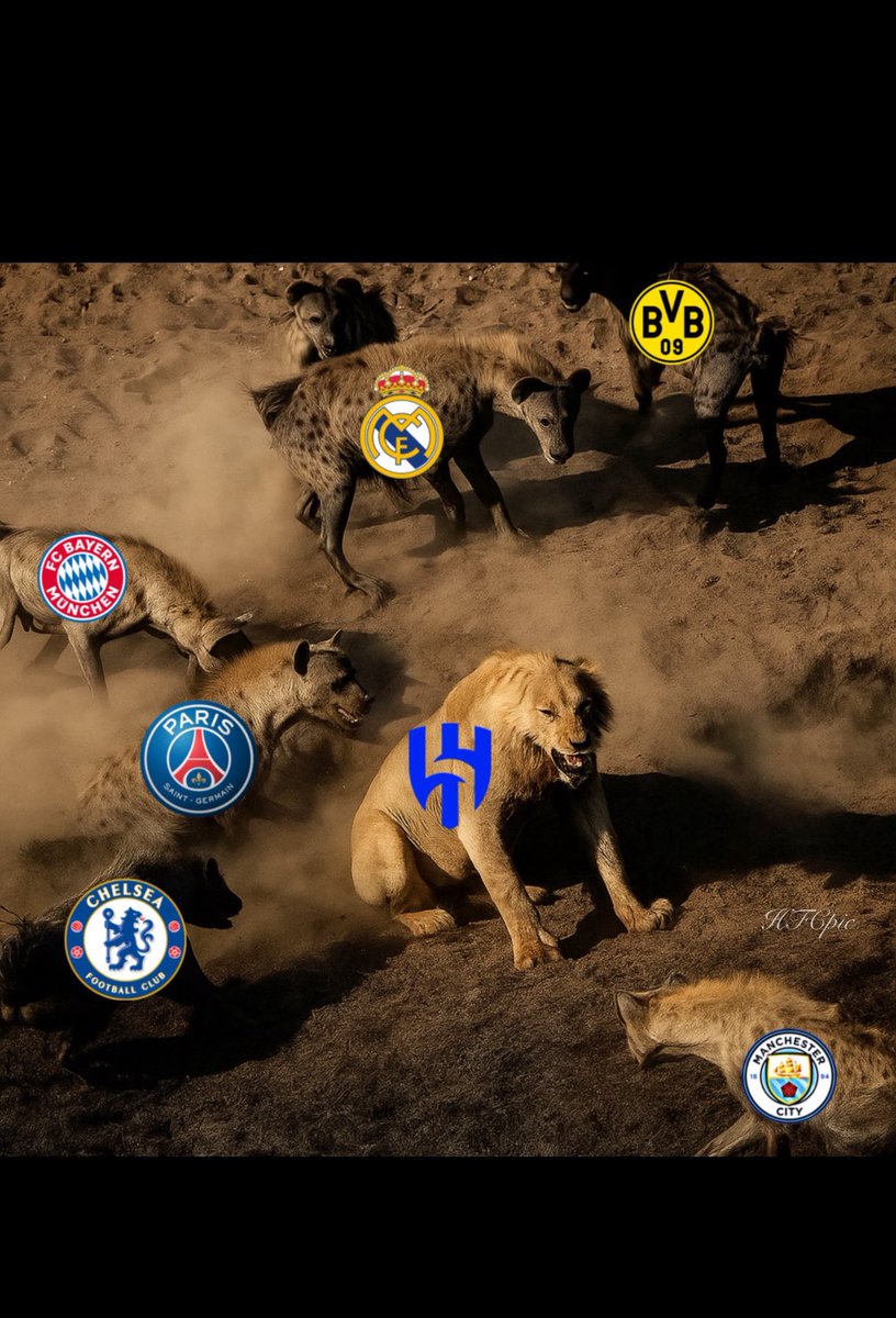northrenman's tweet photo. 🔥 “A lion doesn’t flinch when surrounded by hyenas… because one roar silences them all.” 🔥

@Alhilal_FC 

 #الهلال https://t.co/8x8R6x6raE