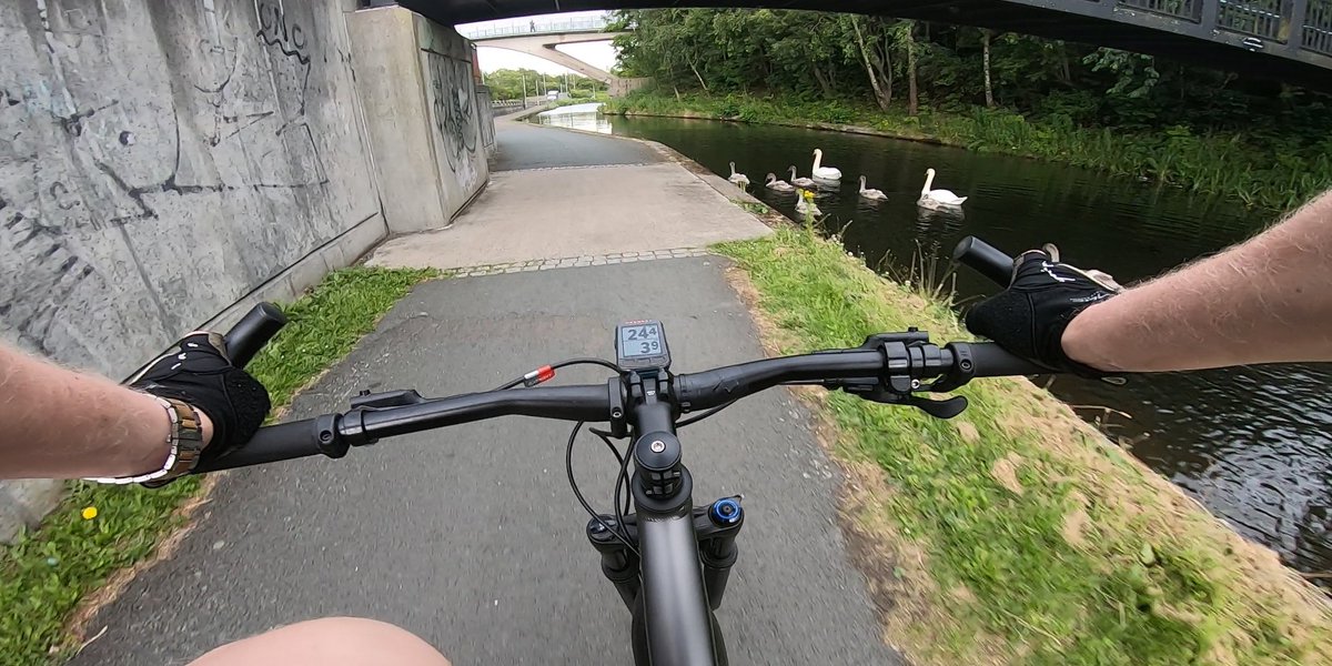 Grey morning in #WardieBay; today: #CyclingToWork; #MSc supervision; admin #swans #lifeofanacademic #Edinburgh markhartl.hw.ac.uk