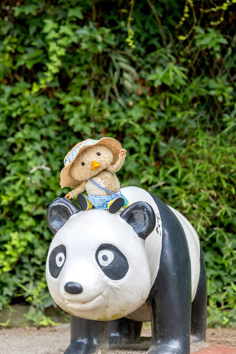 ７月のかべがみを、どぞ📲
パンダくん、また来てね！
#東京トガリ #壁紙 #パンダ