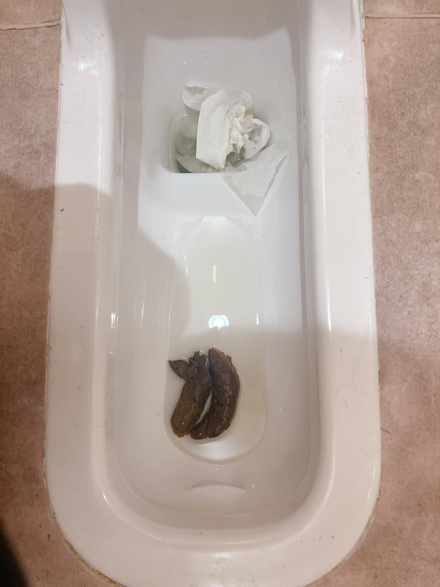 最近和式でうんちするのハマってる🙈