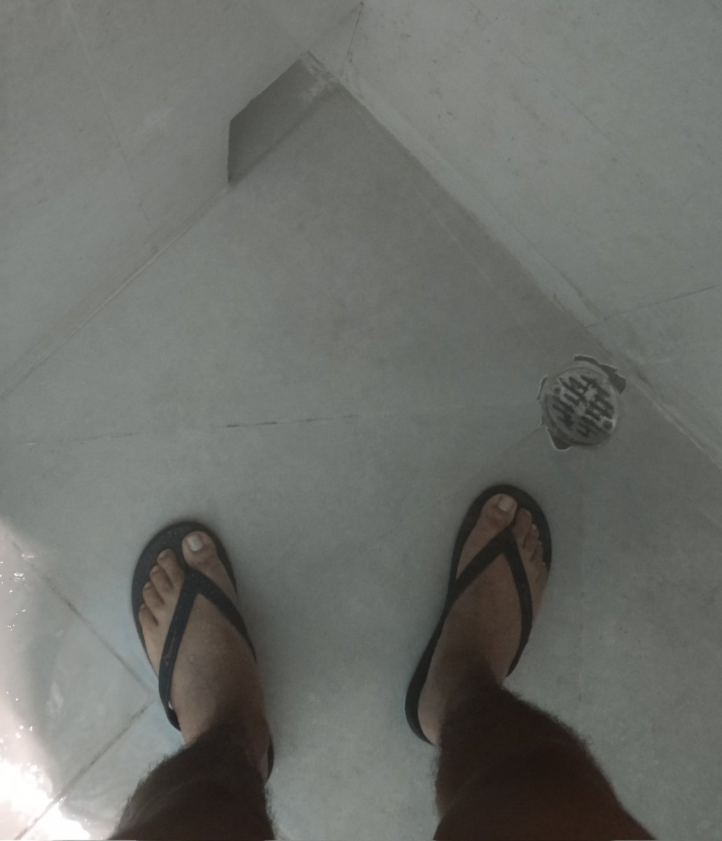 Nada como un bañito con agua tibia después de terminar mis actividades del día.
Un masaje me caería de percha 😎

Duerman rico banda y sueñen más rico aún, mañana me cuentan en el grupo de Telegram lo que soñaron 😉😴

#Charal ⚓🇲🇽