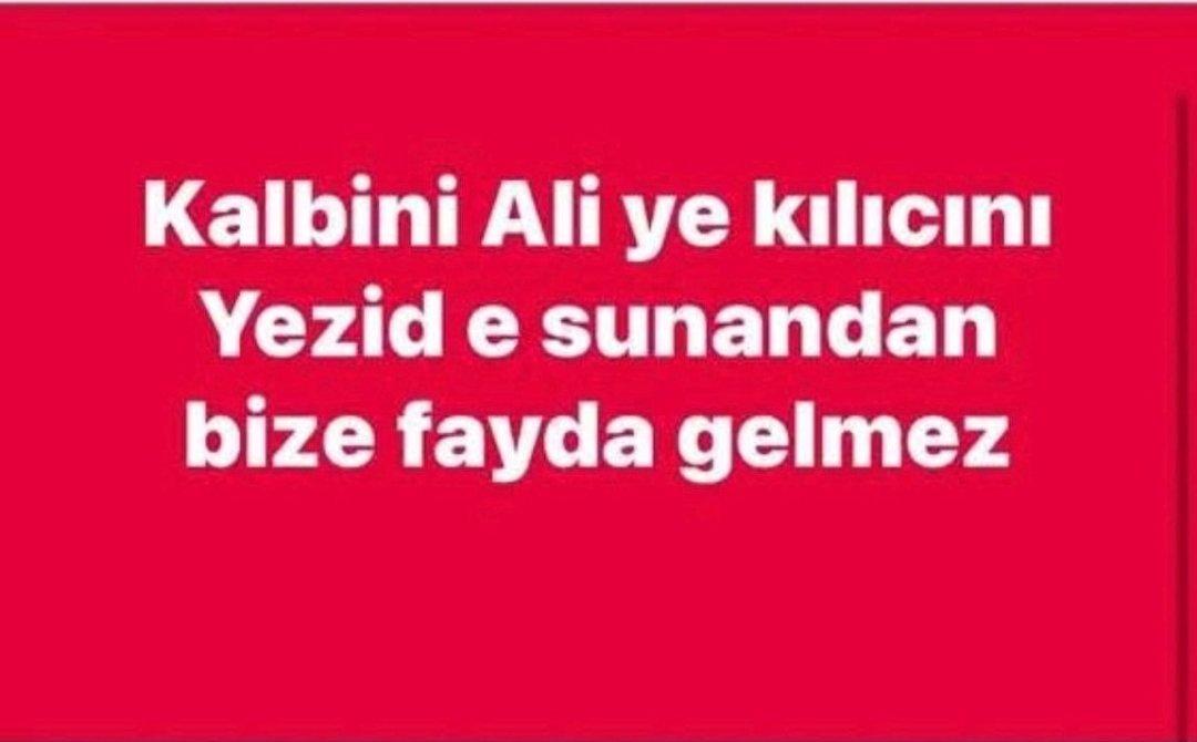 Chp genel başkan yardımcısının yeğeninin kullandığı cümle de fikir özgürlüğüne giriyor mu? Ya da insanları mezhep üzerinden ayrıştıran bu cümleyi de aynı kategoride mi değerlendirdin de iki laf etmediniz?