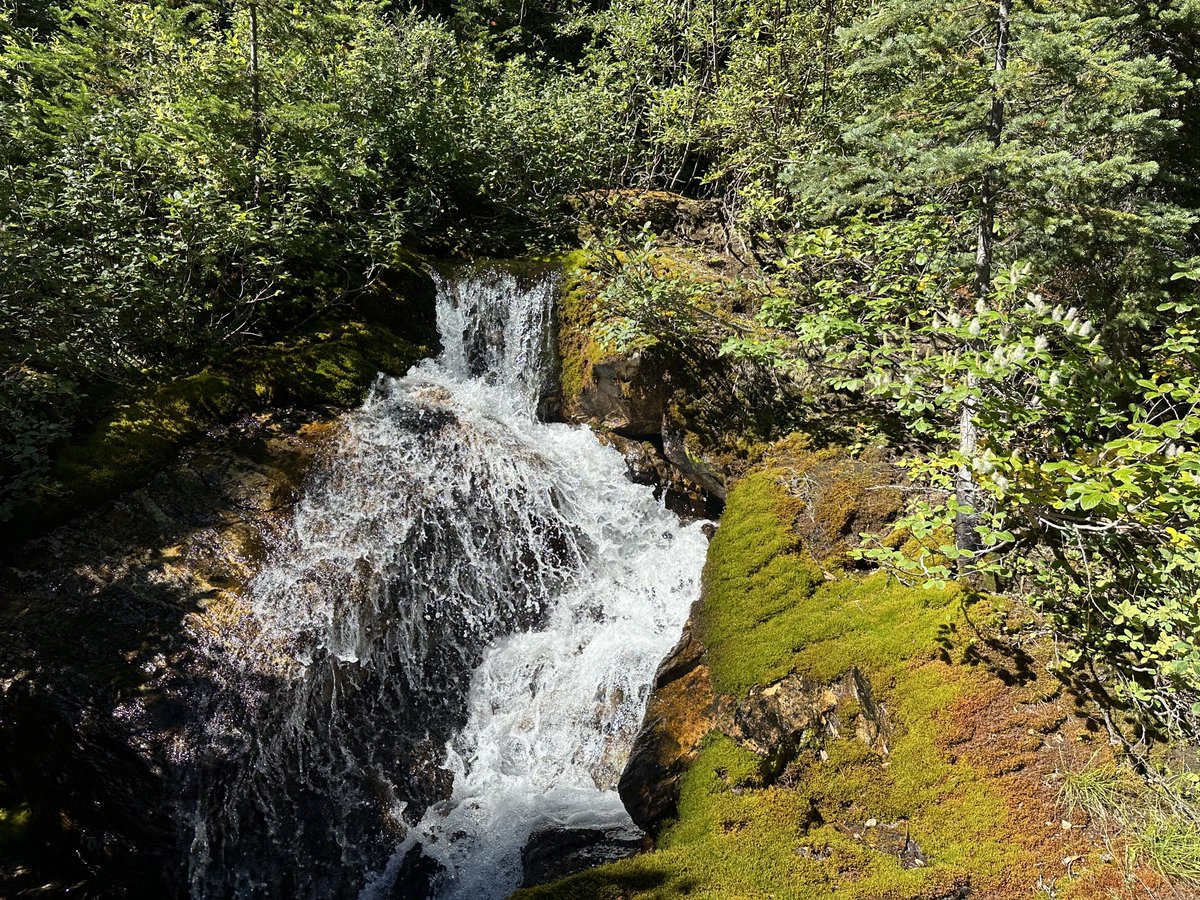 Happy Canada Day! 🇨🇦 
Looking forward to more days like this later this summer…