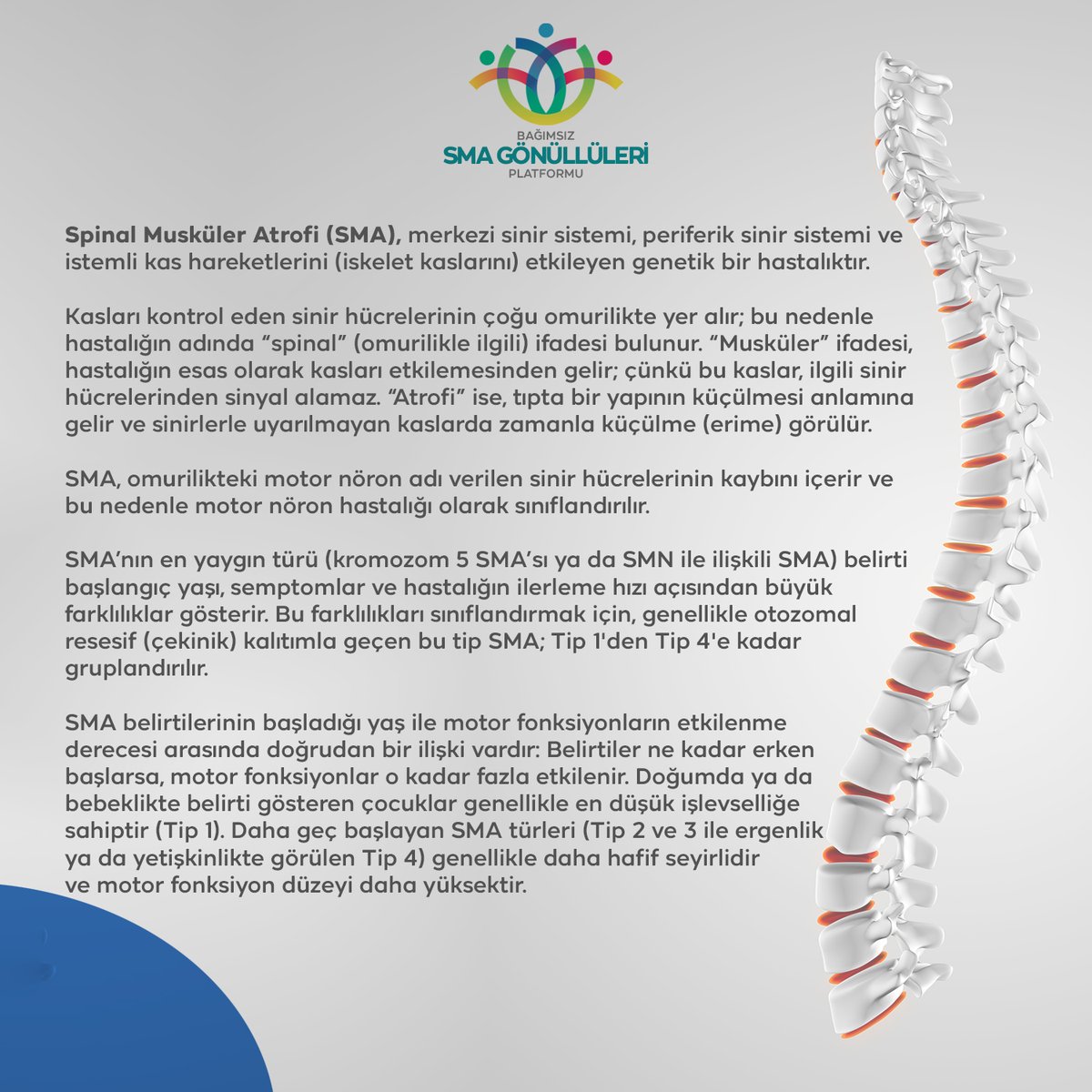 SMA (Spinal Musküler Atrofili) Nedir?
