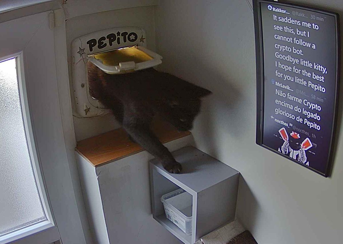 Pépito tweet media
