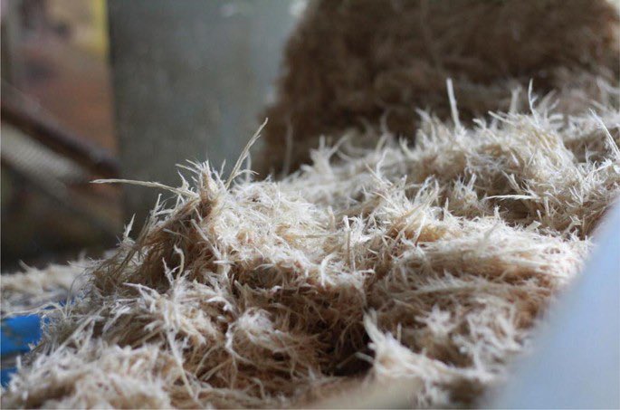 Makerere University Research and Innovations Fund (@rifmakerere) on Twitter photo Did you know that chicken feathers can be used to purify water? This <a href="/RIFMakerere/">Makerere University Research and Innovations Fund</a> project led by researchers at <a href="/MakCoNAS/">Makerere University College of Natural Sciences</a> combines sand filtration with the natural protein from waste chicken feathers to remove contaminants from water. Watch video here: youtu.be/pHJi459EqwI Did you know that chicken feathers can be used to purify water? This <a href="/RIFMakerere/">Makerere University Research and Innovations Fund</a> project led by researchers at <a href="/MakCoNAS/">Makerere University College of Natural Sciences</a> combines sand filtration with the natural protein from waste chicken feathers to remove contaminants from water. Watch video here: youtu.be/pHJi459EqwI