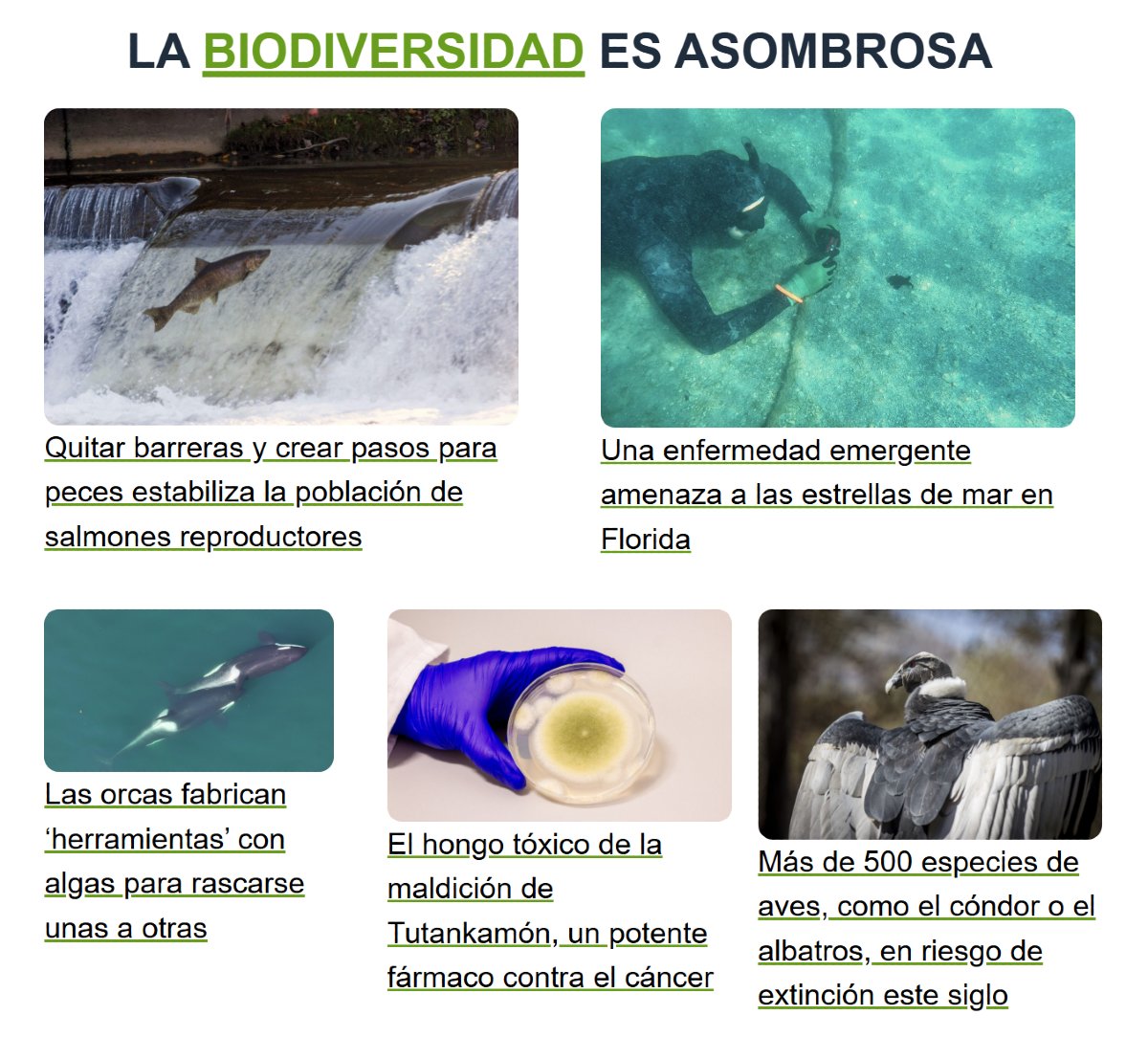 Si te interesa el #medioambiente, el clima, la biodiversidad y la sostenibilidad, no te pierdas EFEverde.com y la newsletter semanal Planeta Sostenible. Suscríbete y mantente informado con el mejor #periodismoambiental.
6fdk.r.sp1-brevo.net/mk/mr/sh/6rqJ8…