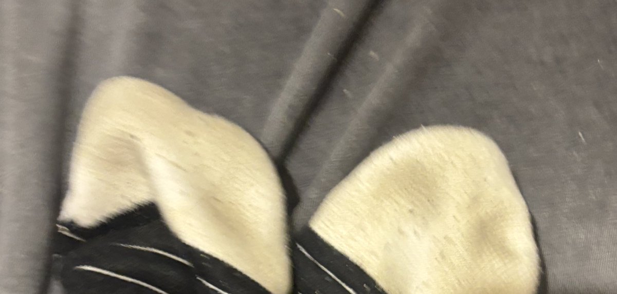 KrqpbZ's tweet photo. 有没有要的 打球训练穿的
🈚️🧠🐶专武 https://t.co/2GskAGMyXL