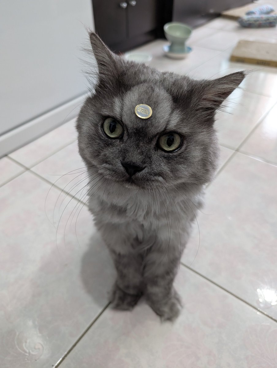 Charlene tweet media