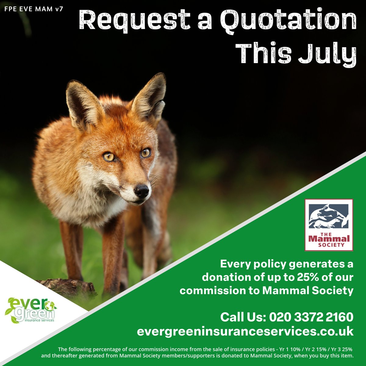 Ethical_Ins's tweet image. Take a stand for UK mammals this July. Your Evergreen policy supports @Mammal_Society’s vital research and protection work. 🦔📊 #MammalConservation #UKWildlife #ScienceForNature #EvergreenSupports