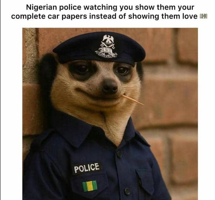 OMIVERSE🇳🇬 (@0m1v3r53) on Twitter photo 