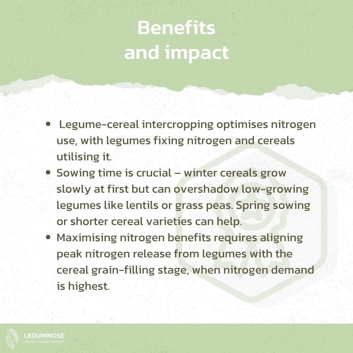 LEGUMINOSE Project tweet media