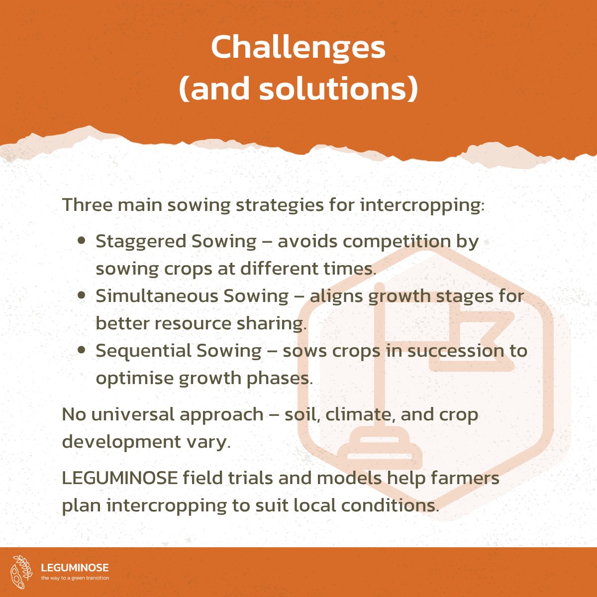 LEGUMINOSE Project tweet media