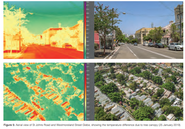 DAmatiPuigsech's tweet photo. A diferència del que deia Futurama, les ciutats del futur hauran de ser ciutats més verdes. 

Al Sud d'Europa, un carrer amb arbres pot reduïr la temperatura fins a 4ºC. Les ombres, el major albedo i la humitat alliberada per l'evapotranspiració refresquen l'ambient. (1/2) https://t.co/JAfh4ZdrYn