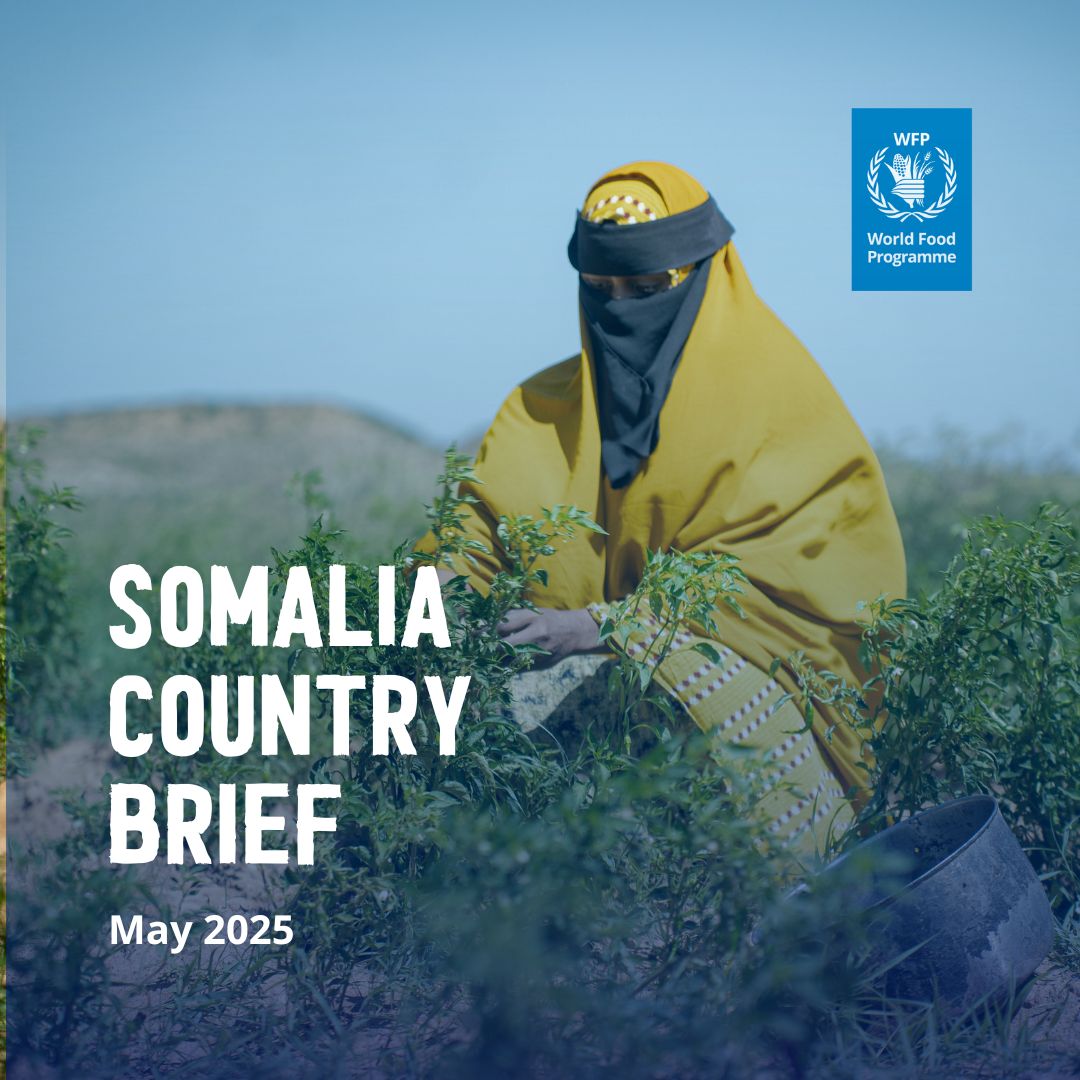 WFPSomalia's tweet image. ❗️📢In May 2025, we reached 1.1 million people w/ vital support &amp;amp; distributed over 2,044 metric tons of food assistance.

Yet, from July to Dec 2025, @WFP Somalia faces a US$ 266 million funding gap across all activities.

Read more: reliefweb.int/report/somalia…