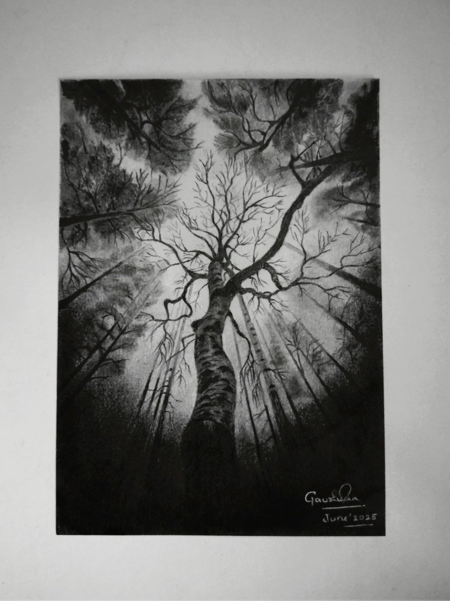 gauravsanju's tweet image. “I took a walk in the woods and came out taller than the trees.” 

Black &amp;amp; White dreamscape # 5.

Graphite powder on Brustro heavyweight paper .

#blackandwhite #graphitepowder
