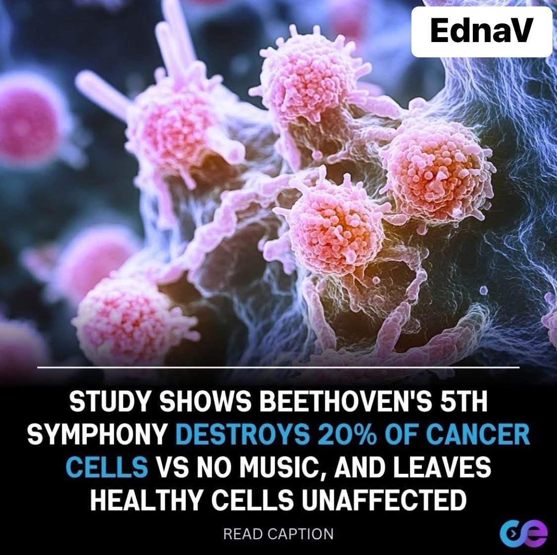 Хэрүүл хов сонсохоор симфони сонсоцгоо монголчуудаа